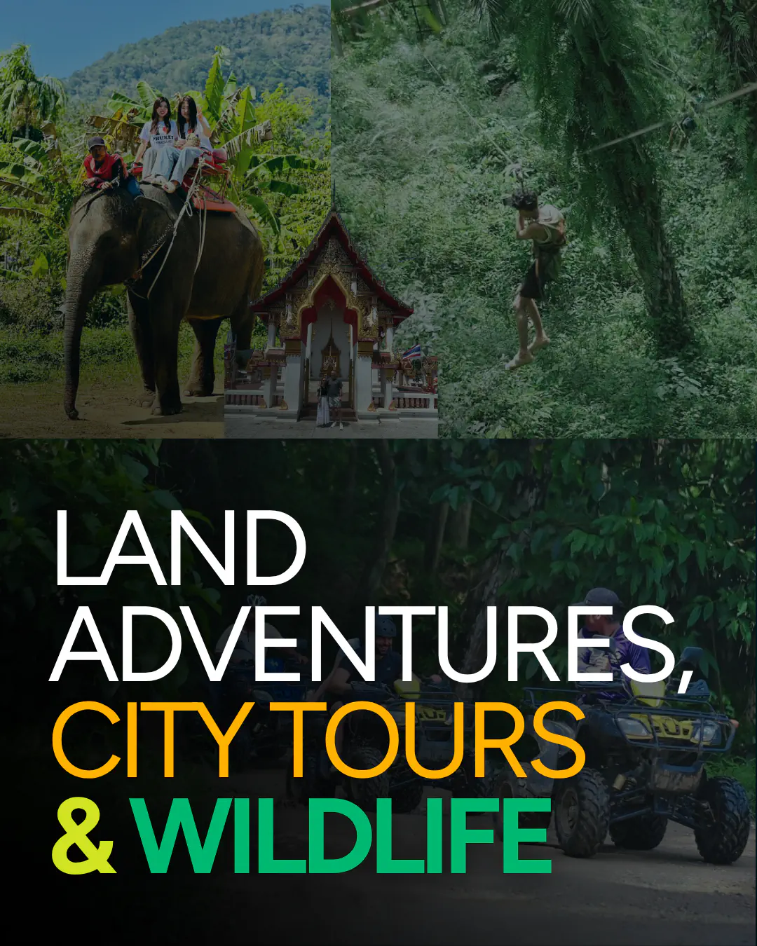 Land Adventures, City Tours & Wildlife