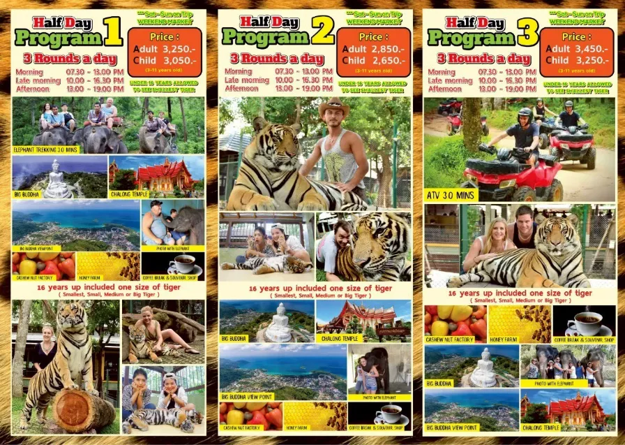 Half Day Join City Tour with Tiger Experience40