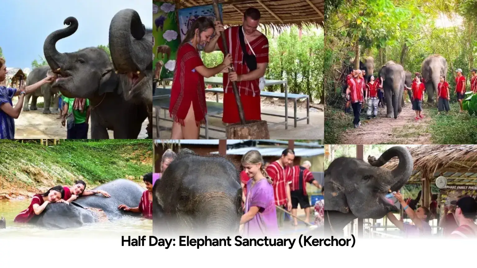 Half Day  Elephant Sanctuary Kerchor