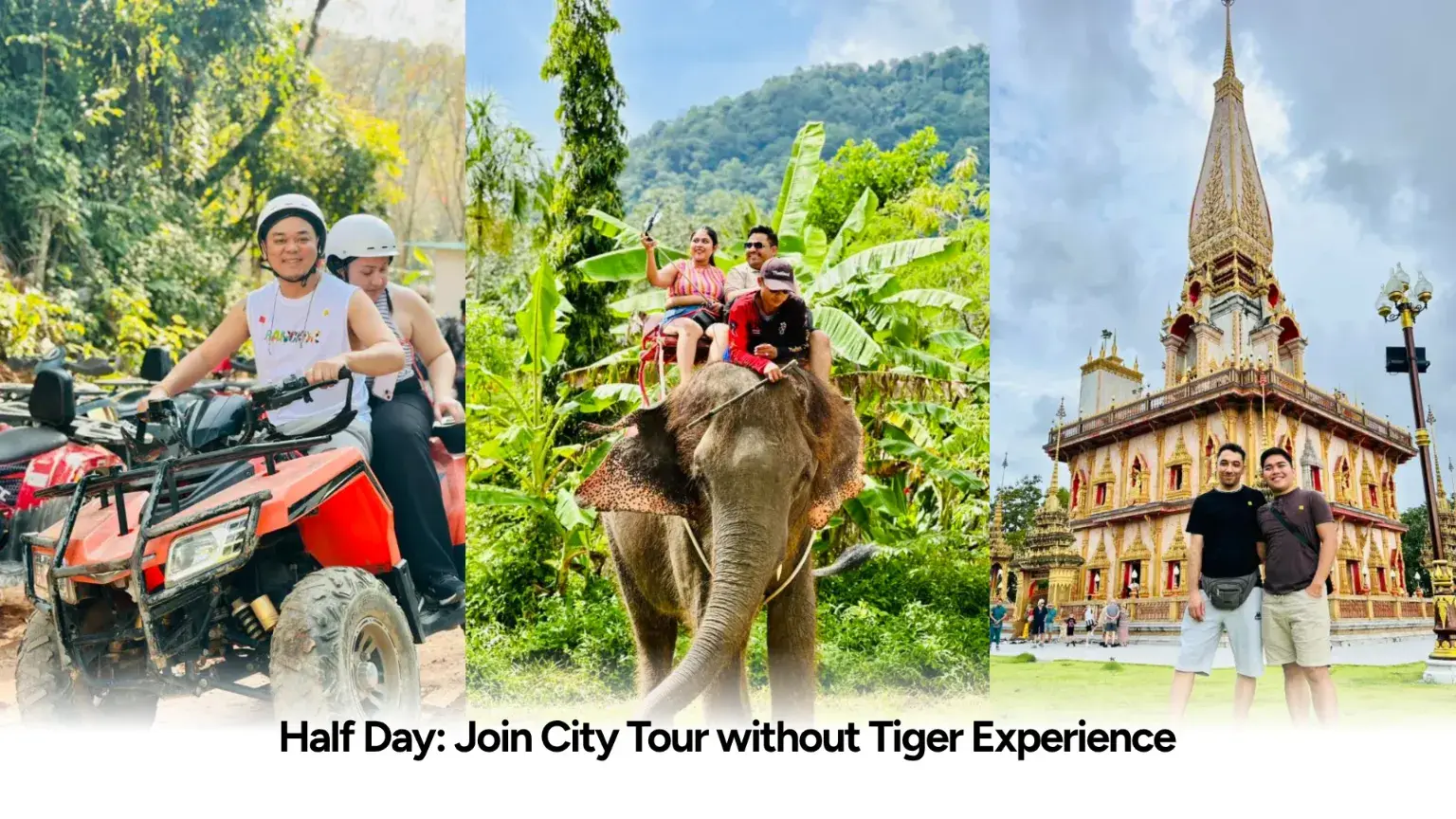 Half Day  Join City Tour with Tiger Experience 3